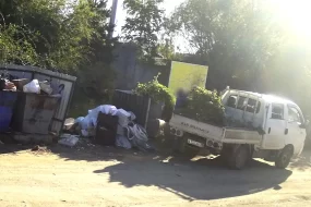 Амурчанин заплатит большой штраф за выброшенные в мусорный контейнер ветки