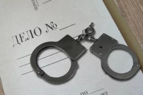 Суд отправил благовещенку, убившую брата шампуром в сердце, в колонию