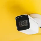 В Благовещенске поймали 5 расклейщиков объявлений благодаря видеокамерам