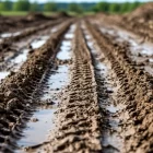 Ущерб природе более 2 млн нанесла компания, испортив землю в Амурской области