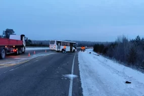 Автобус насмерть сбил пешехода в Свободненском районе Амурской области