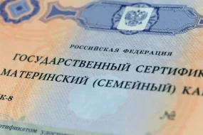 Амурчанку заставили вернуть 330 тыс рублей маткапитала государству