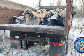 В Амурской области задержали местного жителя за незаконную вырубку леса