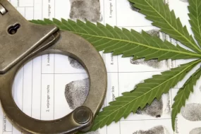 Амурчанин промышлял наркотиками на заброшенной ферме