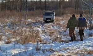 Браконьеров с тушами лося и изюбря поймали в Амурской области
