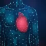 Ученые Торонто: ранние признаки проблем с сердцем появляются в ногах