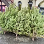 Охрану лесов усилили перед Новым годом в Амурской области