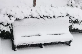 Глава Вилючинска обсуждает кадровые решения в ответ на хаос в Рыбачьем