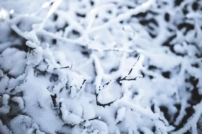 Из Нижегородской области поступила помощь на Камчатку, но жители недовольны