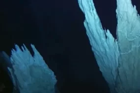 Подводная камера зафиксировала загадочные башни на дне океана в США