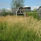 Россиянам раскрыли, за что власти могут изъять земельный участок