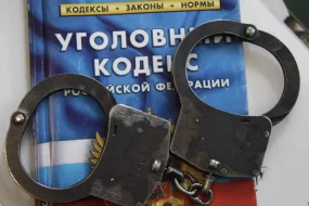 Мигрантов, сдававших экзамены за своих земляков, будут судить в Приамурье