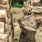 Полмиллиона штрафа за заготовку дров получил амурчанин