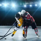 Ткачак Брэди получил удар клюшкой в игре «Оттавы» с «Айлендерс»