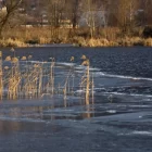 Стихия атакует Владимирскую область, власти ведут круглосуточный мониторинг