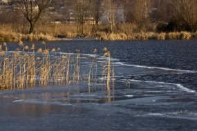 Стихия атакует Владимирскую область, власти ведут круглосуточный мониторинг