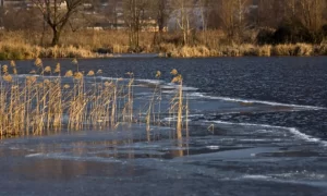 Стихия атакует Владимирскую область, власти проводят мониторинг