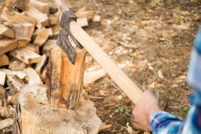В Приамурье мужчина заготовил дров больше нормы и попал на скамью подсудимых