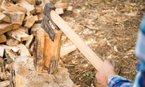 В Приамурье мужчина заготовил дров больше нормы и попал на скамью подсудимых