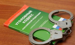 Амурчанину грозит срок за молчание о готовящейся диверсии