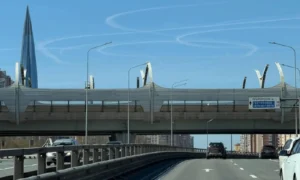 Жители Петербурга обсуждают загадочные следы в небе над Финским заливом