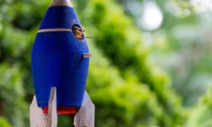 АиФ: США грозит атака из подземной крепости, Иран приготовил мощный сюрприз