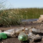 Больше миллиона рублей штрафов за мусор выписали в Приамурье