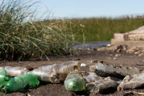 Больше миллиона рублей штрафов за мусор выписали в Приамурье