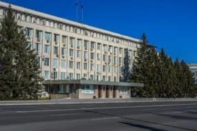 Константиновский район Амурской области станет муниципальным округом