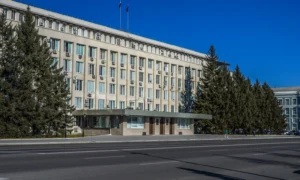 Константиновский район Амурской области станет муниципальным округом