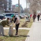 Всероссийский субботник пройдет в Благовещенске 25 апреля