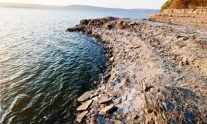 Алиев оценил последствия для мировой экономики от повреждения кабелей в Ормузе