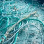 В Приамурье поймали браконьера с сетью и рыбой