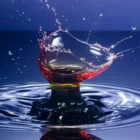 Разлив нефти в Туапсе признали катастрофой, турпотоку грозит удар