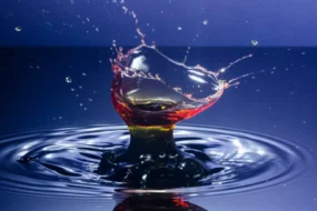 Разлив нефти в Туапсе признали катастрофой, турпотоку грозит удар