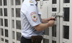 В Зее отправили в колонию женщину за неуплату алиментов