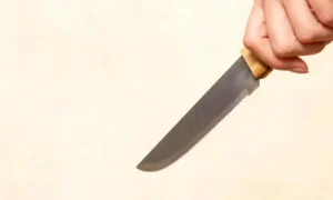 Амурчанке грозит пожизненный срок за жестокое убийство сожителя