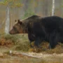 Спасатель объяснила, чем грозит попытка притвориться мертвым перед медведем
