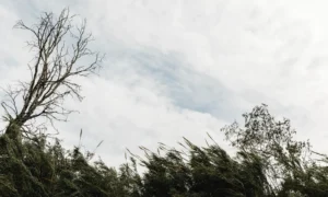 Штормовое предупреждение объявили в Приамурье