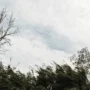 Штормовое предупреждение объявили в Приамурье
