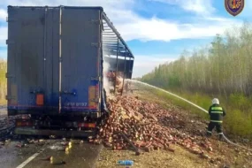 В Приамурье на трассе «Амур» сгорел полуприцеп грузовика