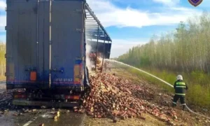 В Приамурье на трассе «Амур» сгорел полуприцеп грузовика