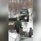 Бульдозеры против природы: амурская компания поплатится за незаконную дорогу через заказник