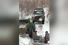 Бульдозеры против природы: амурская компания поплатится за незаконную дорогу через заказник