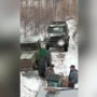 Бульдозеры против природы: амурская компания поплатится за незаконную дорогу через заказник