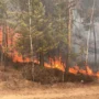 Режим ЧС из-за лесных пожаров ввели Магдагачинском округе