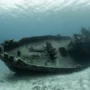 Среди ученых прошло обсуждение затонувшего в 1906 году судна с грузом на 1,5 млн