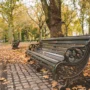 Благовещенский сквер рядом с ЦЭВД назовут в честь купца