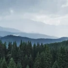 Нейросеть проанализировала путь Усольцевых