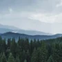АиФ: Нейросеть обошла путь Усольцевых и назвала критический просчет